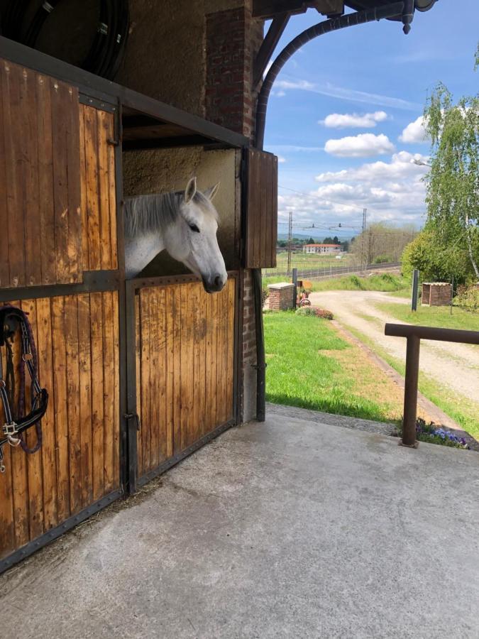 B&B Tenuta Legnate Sesto Calende Dış mekan fotoğraf